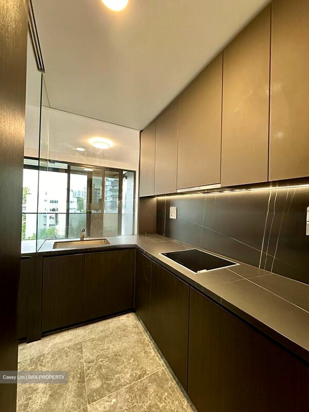Hyll On Holland (D10), Condominium #465938351